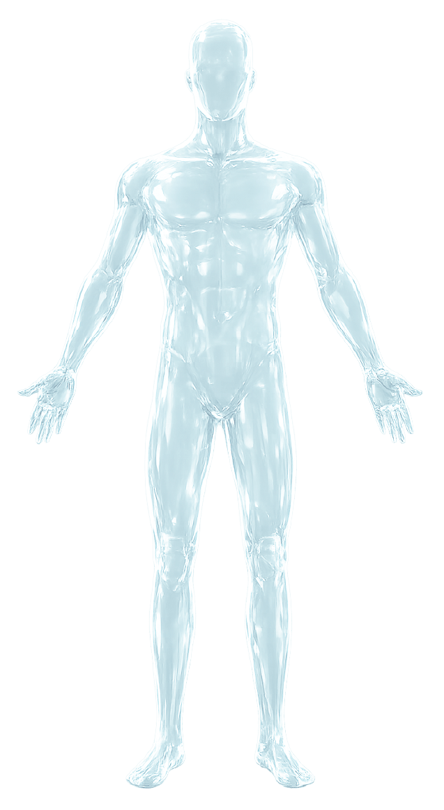Human body illustration